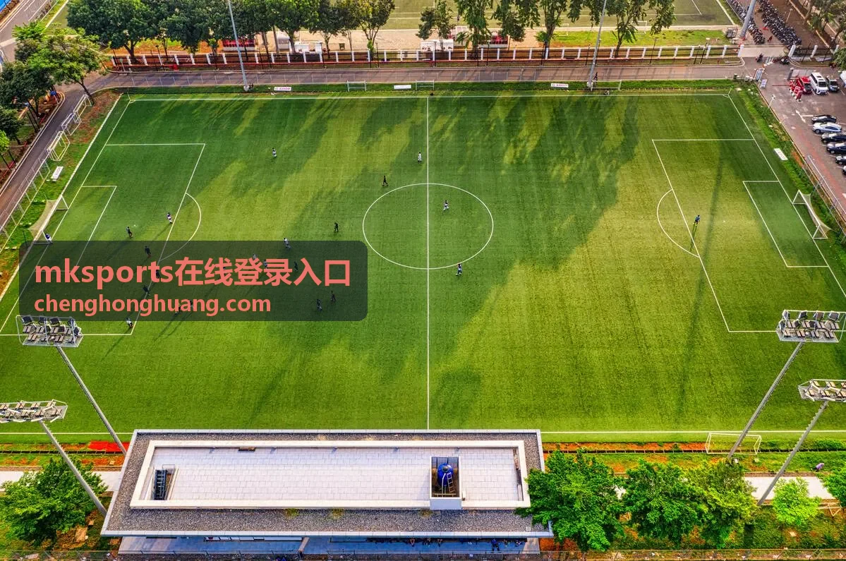 mksports在线登录入口 账户安全与验证页面的登录保护示意