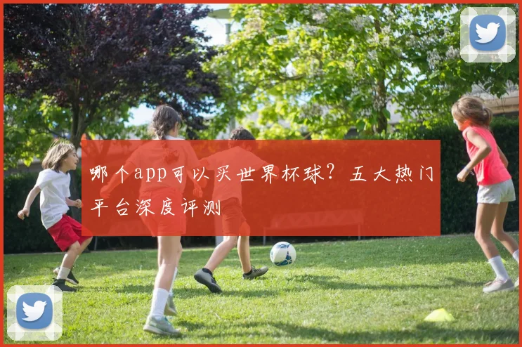 哪个app可以买世界杯球？五大热门平台深度评测