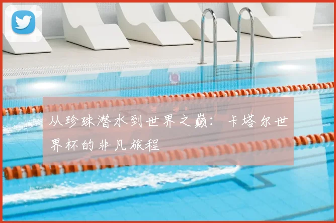 从珍珠潜水到世界之巅:卡塔尔世界杯的非凡旅程