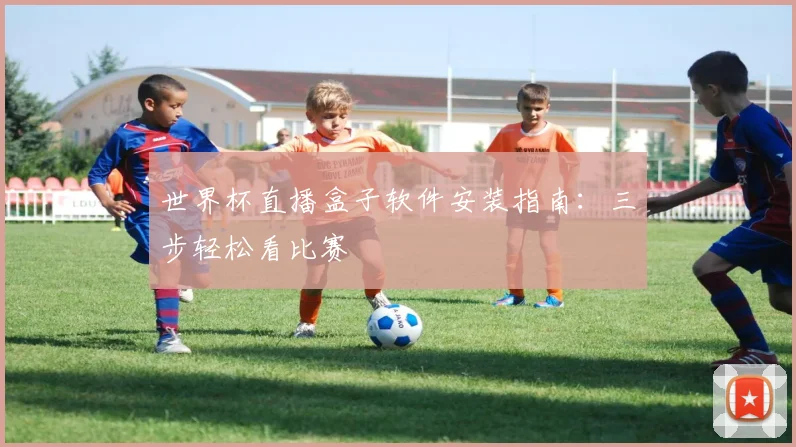 世界杯直播盒子软件安装指南：三步轻松看比赛