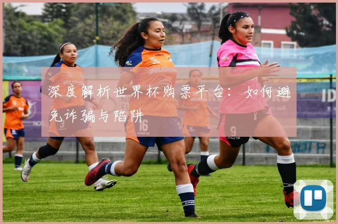 深度解析世界杯购票平台：如何避免诈骗与陷阱