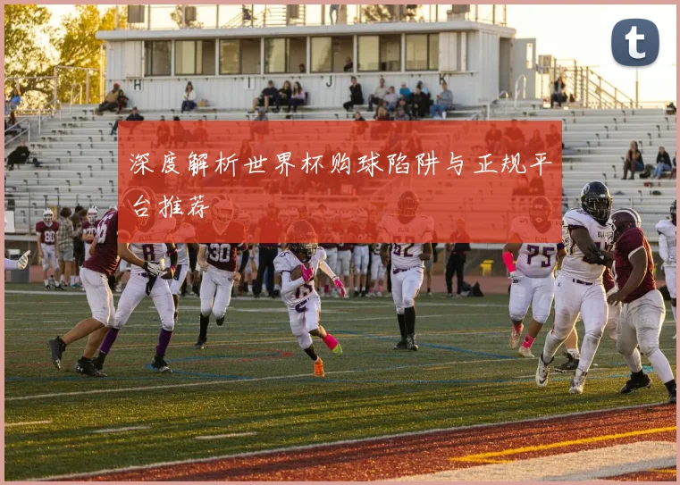 深度解析世界杯购球陷阱与正规平台推荐