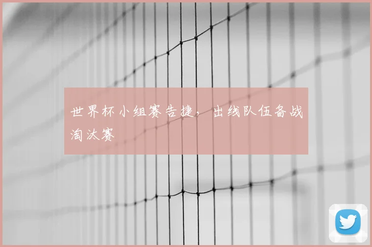 世界杯小组赛告捷,出线队伍备战淘汰赛