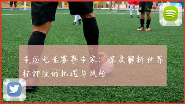 专访电竞赛事专家：深度解析世界杯押注的机遇与风险